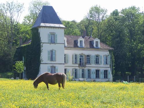 Schloss Frankreich mit Pferd