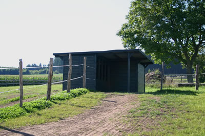Koppel mit Futterstation: Anwesen / Liebhaberobjekt bei Bitburg: EFH mit Pferdestall / Weiden  und Nebengebäude, ruhige Lage in ländlicher Umgebung