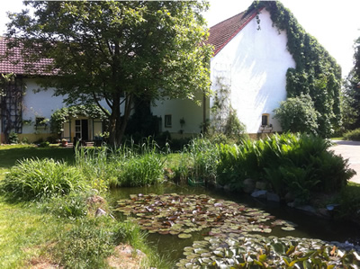 Teich und Wohnhaus: Verkauf historischer Hof, mit Scheune und großem Garten in Niederbayern: Sehr schöne Atmosphäre 